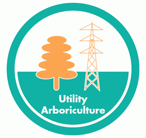 Level 3 Certificate of Competence in Utility Arboriculture Basic Electrical Knowledge (0038-30)