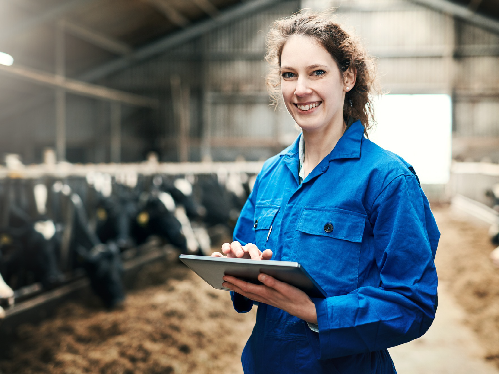 Female farm worker with cows